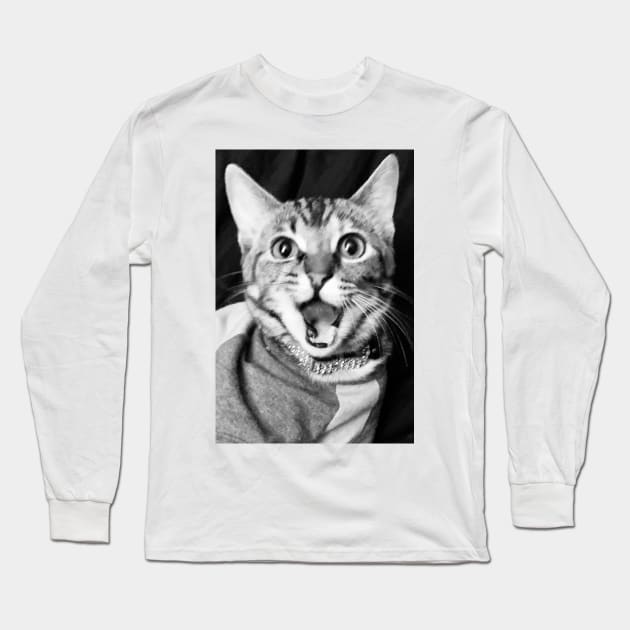 Hey Hey hey Long Sleeve T-Shirt by heyokamuse